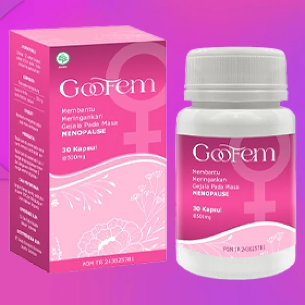 GOOFEM